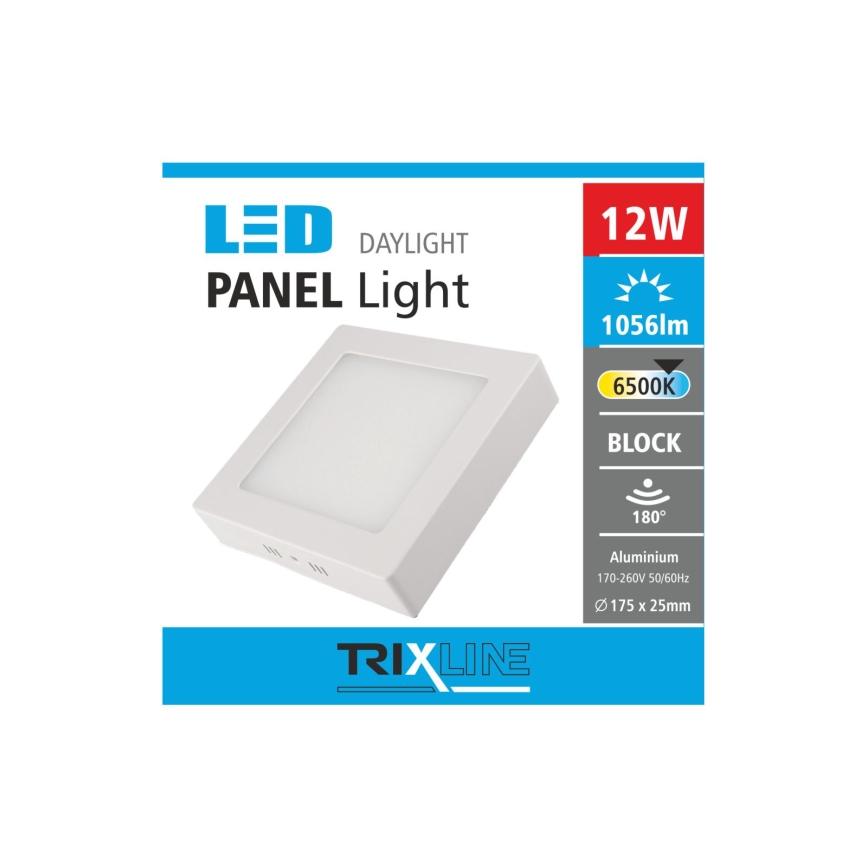 LED Menyezeti lámpa LED/12W/230V 6500K