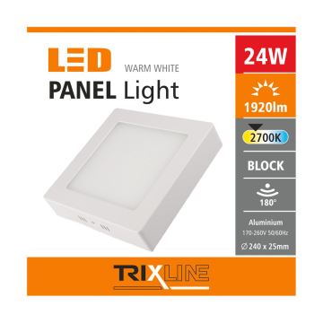 LED Menyezeti lámpa LED/24W/230V 2700K