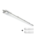 LED műszaki fénycsöves lámpatest T8 2xG13/18W/230V 4000K IP65 127 cm