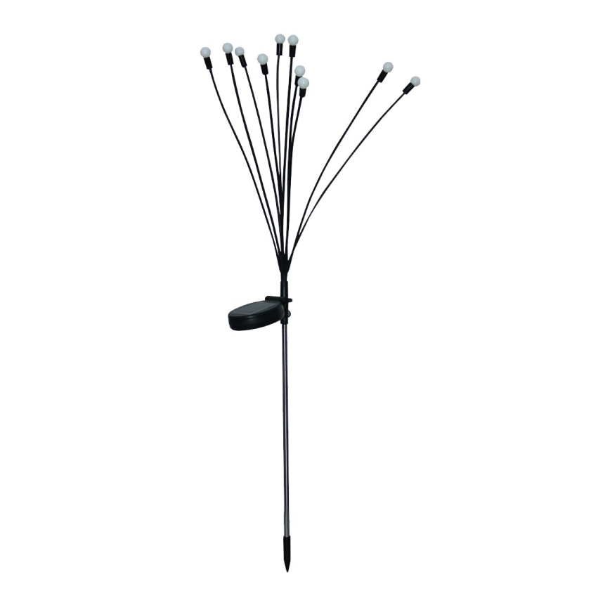 LED Napelemes dekor lámpa 10xLED/1,2V 3000K 73 cm 600 mAh IP44