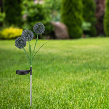 LED Napelemes lámpa ALLIUM LED/1,2V 6500K 600 mAh IP44 fekete