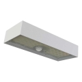 LED Napelemes reflektor mozgásérzékelővel LED/3,7V 3000mAh 4000K IP65 fehér
