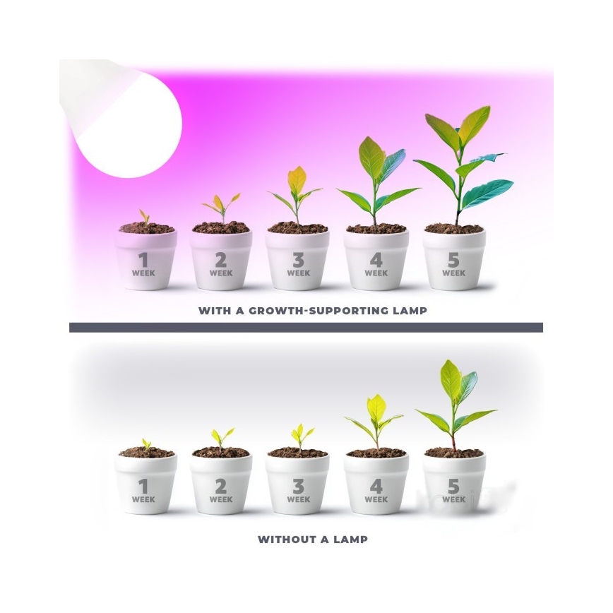 LED Növénytermesztő Izzó PLANTY E27/11W/230V 1200K fehér