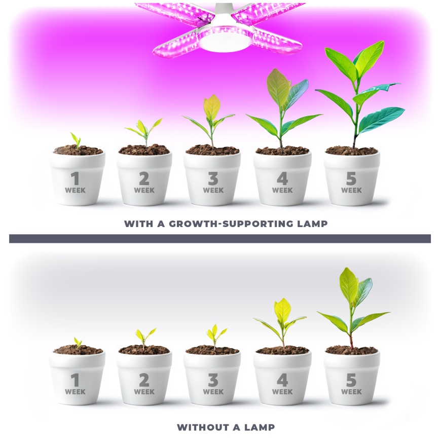 LED Növénynevelő izzó VITABLOOM E27/40W/230V 1200K - Brilagi