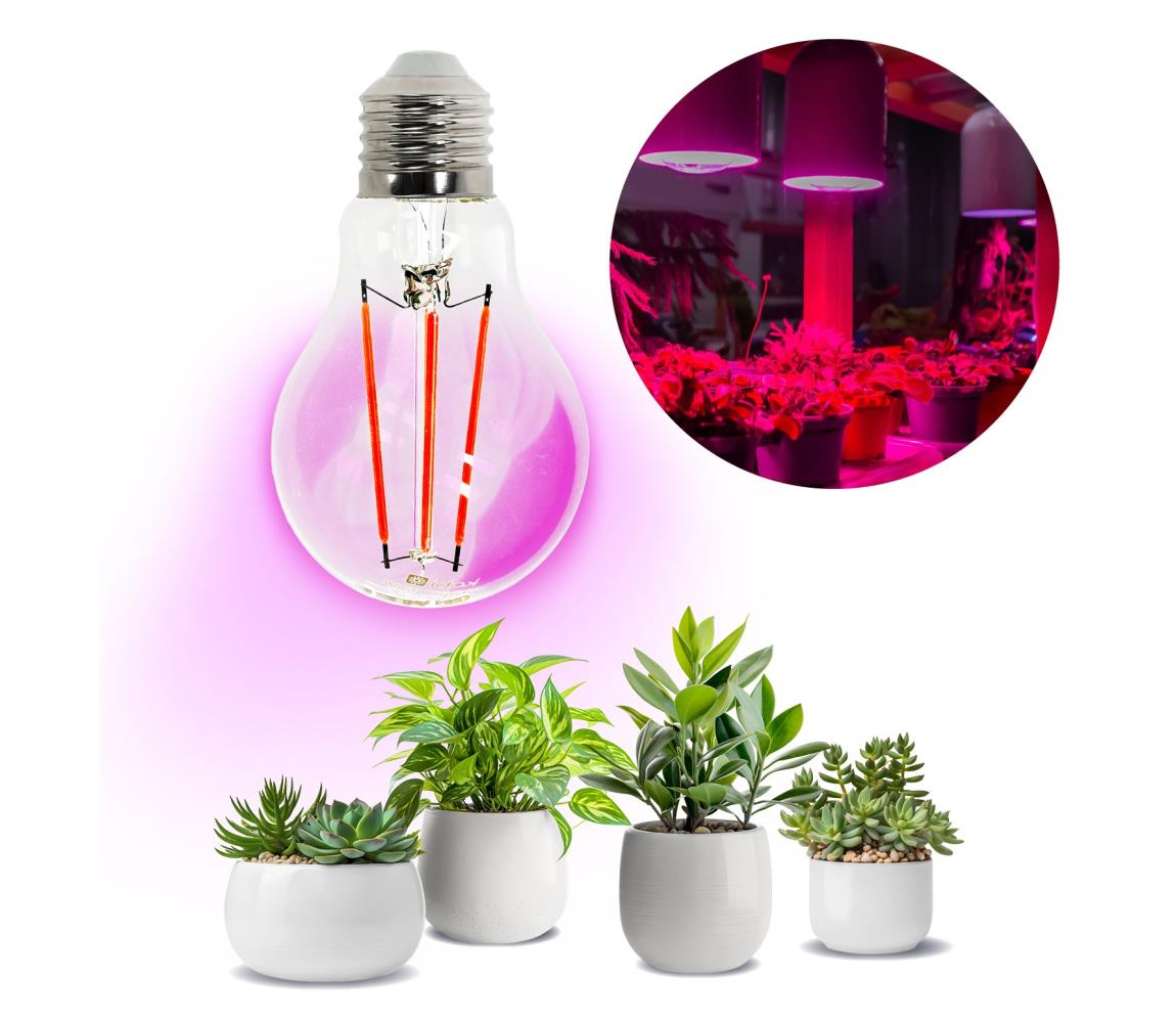 LED Növénynevelő izzó VITABLOOM E27/8W/230V 1200K