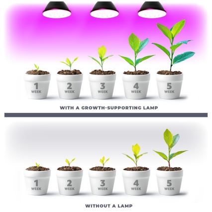 LED Növénynevelő izzó VITABLOOM E27/9W/230V 1200K fekete - Brilagi