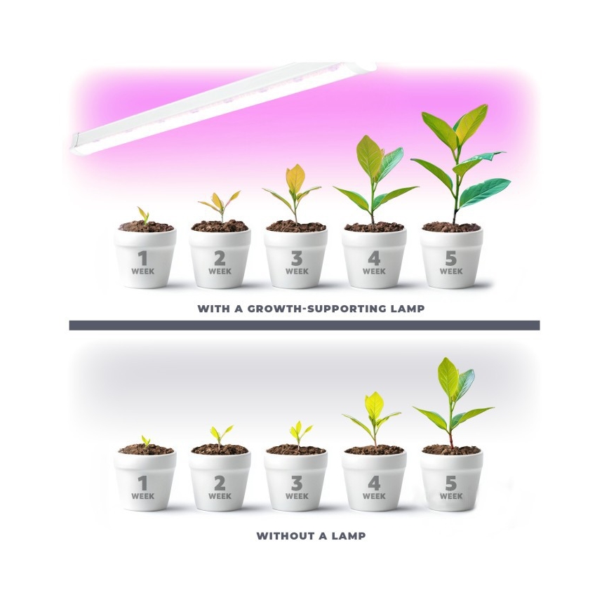 LED Növénytermesztő lámpa GROWLY 2xLED/8,5W/230V fehér
