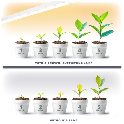 LED Növénytermesztő lámpa GROWLY LED/15W/230W