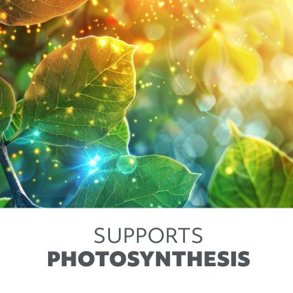 LED Növénytermesztő lámpa GROWLY LED/15W/230W