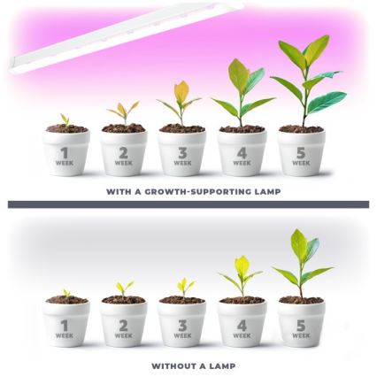 LED növénytermesztő lámpa GROWLY LED/9W/230V fehér