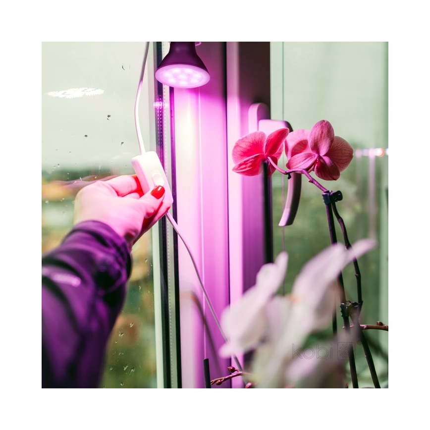 LED Növénytermesztő Izzó PLANTY E27/7W/230V 1200K fekete