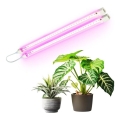 LED Növénytermesztő lámpa GROWLY 2xLED/8,5W/230V fehér