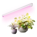 LED növénytermesztő lámpa GROWLY LED/9W/230V fehér