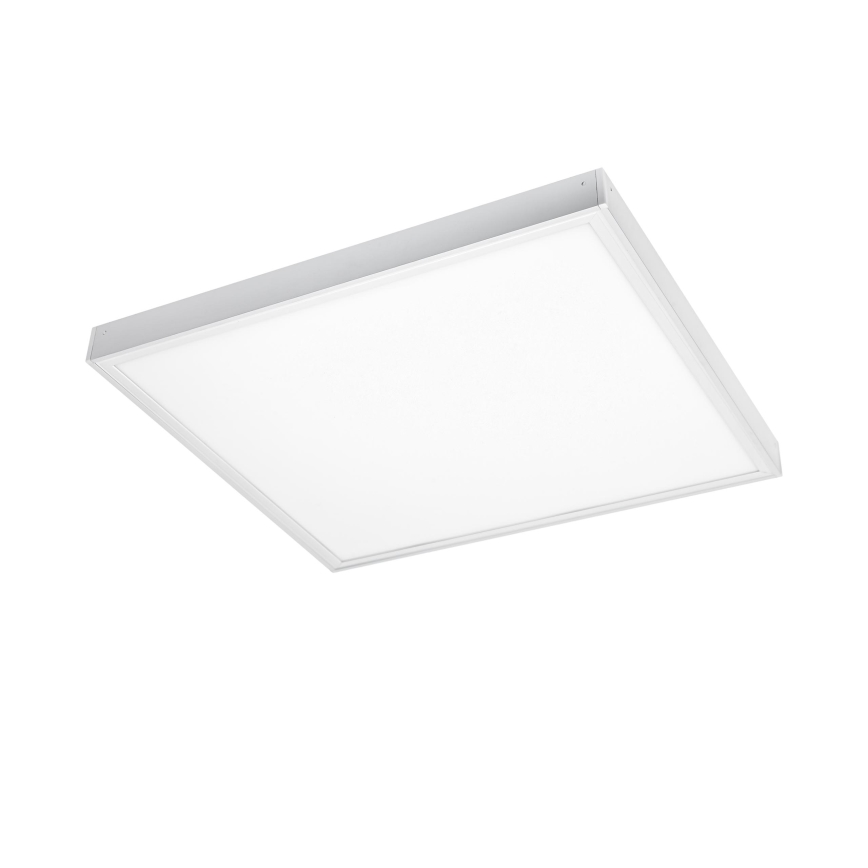 LED Panel ALGINE LED/32W/230V 60x60 cm 6000K