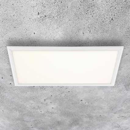 LED Panel LED/24W/230V 4000K