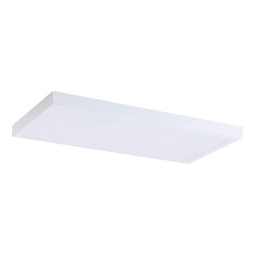 LED Panel LED/36W/230V 4000K 30x60 cm fehér