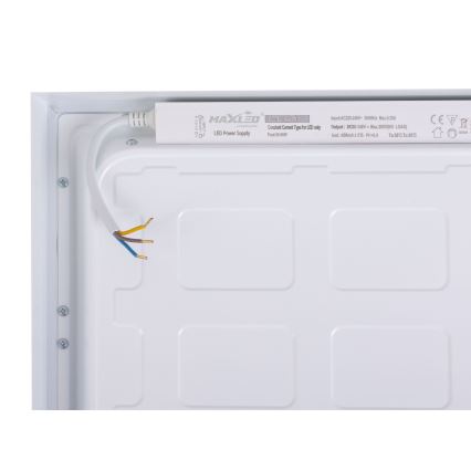 LED Panel LED/60W/230V 4000K 30x120 cm fehér