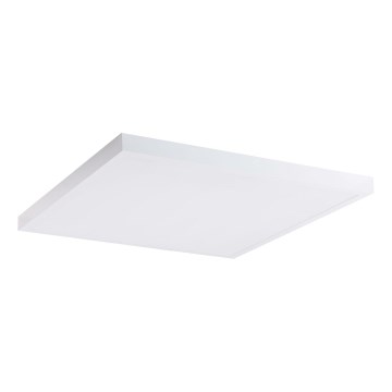 LED Panel LED/60W/230V 4000K 60x60 cm fehér