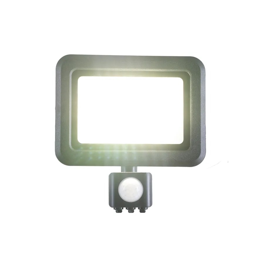 LED Reflektor érzékelővel LED/30W/230V 4000K IP44