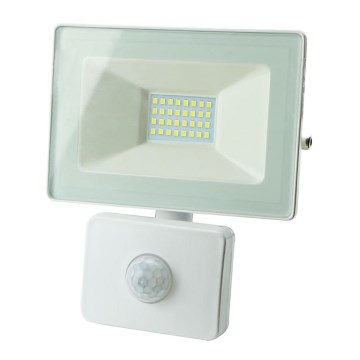 LED Reflektor érzékelővel TAK LED/30W/230V IP65 4000K