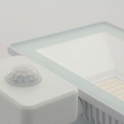 LED Reflektor érzékelővel TAK LED/30W/230V IP65 4000K