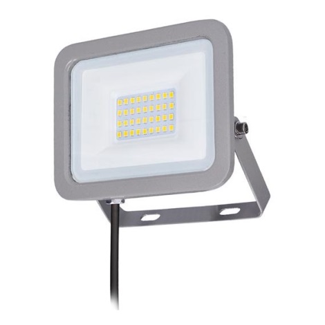 LED Reflektor HOME LED/10W/230V IP65