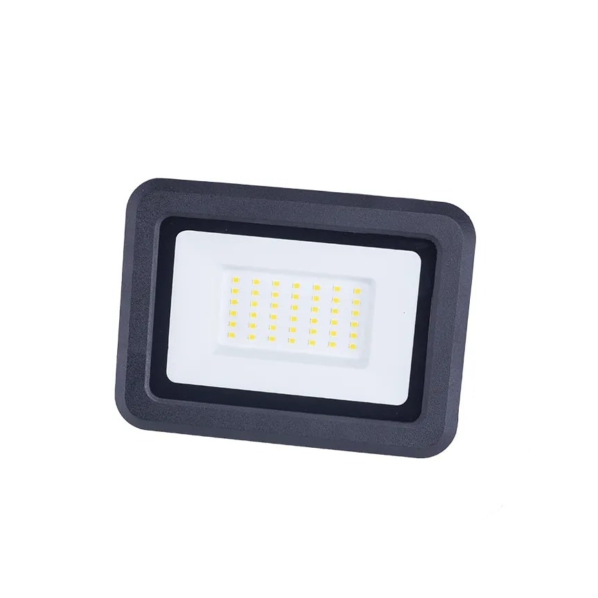 LED Reflektor LED/30W/230V 4000K IP65