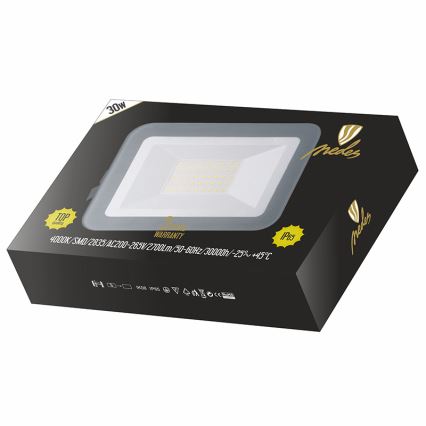 Nedes LF2223 - LED Reflektor LED/30W/230V IP65