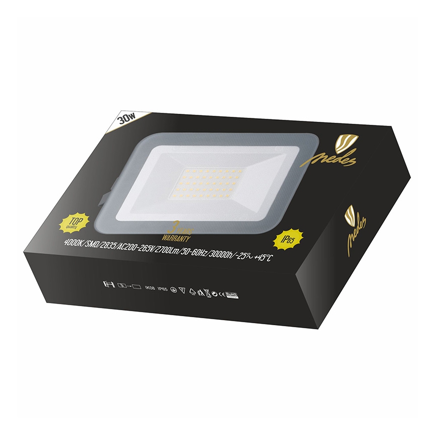 Nedes LF2223 - LED Reflektor LED/30W/230V IP65
