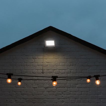 LED Reflektor LED/50W/230V IP65 3000/4000/6500K szürke