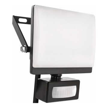 LED reflektor mozgás- és alkonyérzékelővel TAMBO EVO LED/20W/230V 4000K IP44 fekete