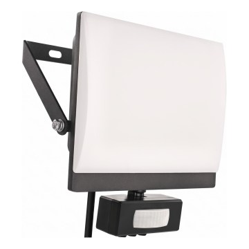 LED reflektor mozgás- és alkonyérzékelővel TAMBO EVO LED/30W/230V 4000K IP44 fekete