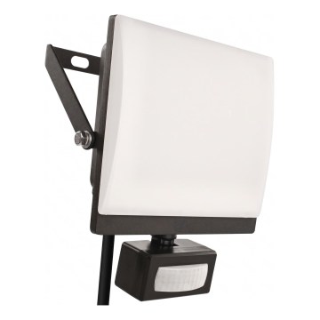 LED reflektor mozgás- és alkonyérzékelővel TAMBO EVO LED/50W/230V 4000K IP44 fekete