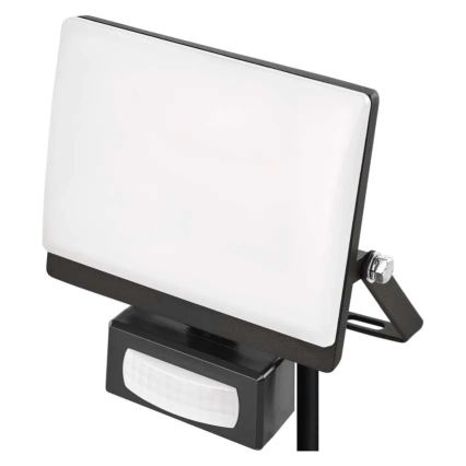LED reflektor mozgás- és alkonyérzékelővel TAMBO EVO LED/20W/230V 4000K IP44 fekete