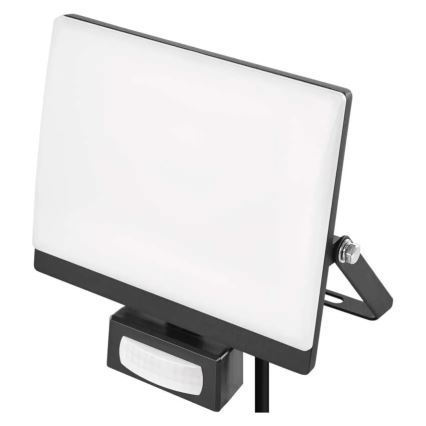 LED reflektor mozgás- és alkonyérzékelővel TAMBO EVO LED/30W/230V 4000K IP44 fekete