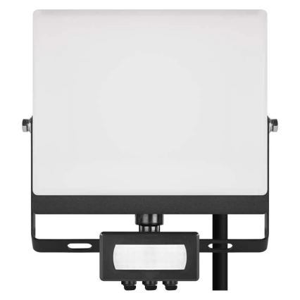 LED reflektor mozgás- és alkonyérzékelővel TAMBO EVO LED/30W/230V 4000K IP44 fekete