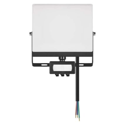 LED reflektor mozgás- és alkonyérzékelővel TAMBO EVO LED/30W/230V 4000K IP44 fekete