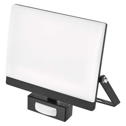 LED reflektor mozgás- és alkonyérzékelővel TAMBO EVO LED/50W/230V 4000K IP44 fekete