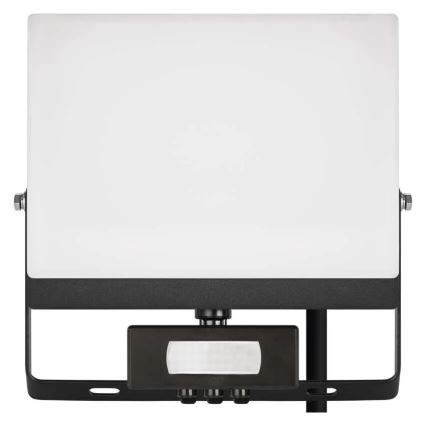 LED reflektor mozgás- és alkonyérzékelővel TAMBO EVO LED/50W/230V 4000K IP44 fekete