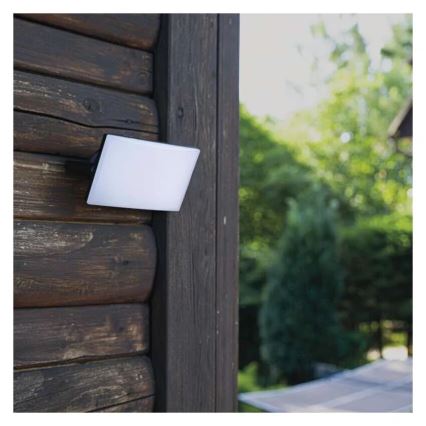 LED Reflektor TAMBO LED/10W/230V 4000K IP65