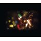 LED RGB Kültéri karácsonyi fényfüzér 20xLED/1,2W/230V IP44