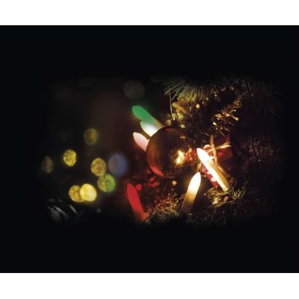 LED RGB Kültéri karácsonyi fényfüzér 20xLED/1,2W/230V IP44