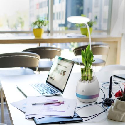 LED RGB Szabályozható asztali lámpa LED/4W/5V