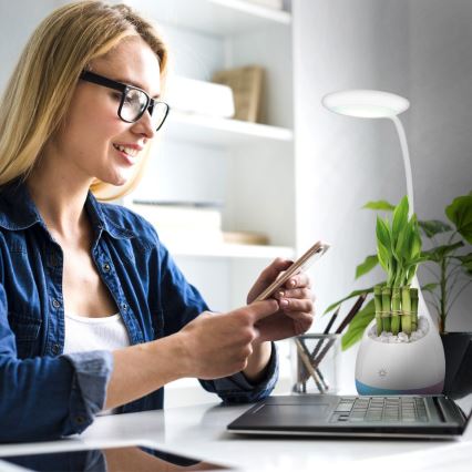 LED RGB Szabályozható asztali lámpa LED/4W/5V