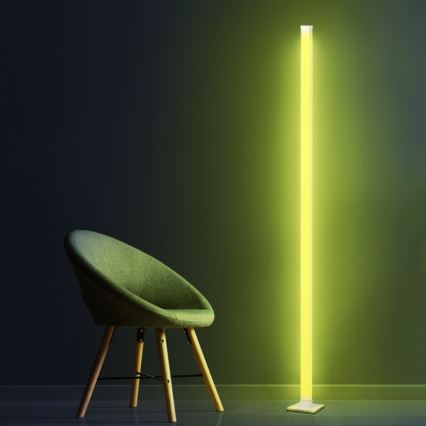 LED RGBW állítható fényerejű állólámpa MAGICAL LED/7W/230V + távirányító