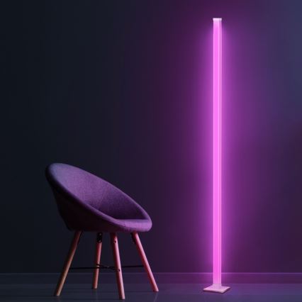 LED RGBW állítható fényerejű állólámpa MAGICAL LED/7W/230V + távirányító