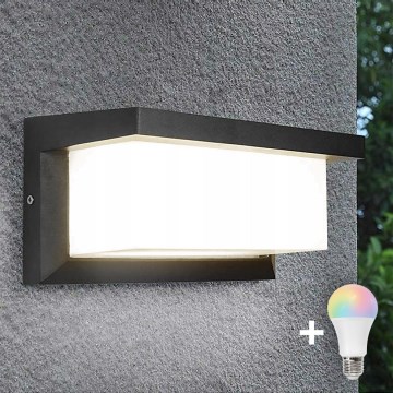 LED RGBW, dimmelhető kültéri fali lámpa NEELY 1xE27/12W/230V 2700-6500K IP54 antracit