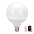 LED RGBW Dimmeres izzó MESH G120 E27/18W/230V 6500K + távirányító - Aigostar