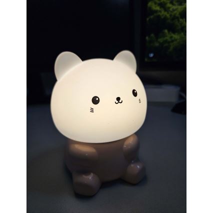 LED RGBW Gyermek érintős lámpa LED/1W/5V USB 1200 mAh macska