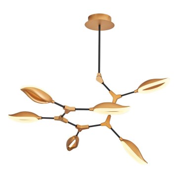 LED rúdcsillár ASTI 6xLED/7W/230V 3000K arany